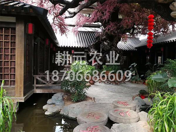 生態餐廳