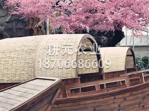 生態餐廳