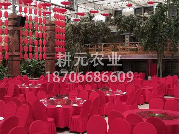 生態餐廳