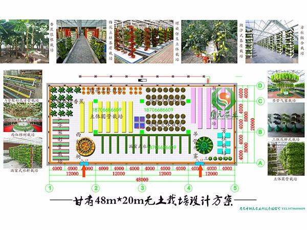 甘肅無土栽培設計方案