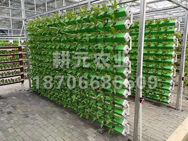 應用無土栽培設備有什么優點